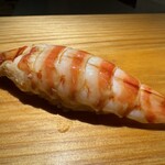 佐野鮨 - 車海老 （追加）