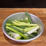 麺に始まり麺に終わる - ¥100円でこんなにネギが！？