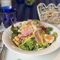 ラ･スコリエーラ - 新鮮で美味しいサラダは毎回おかわりします