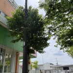 インデアンレストラン  ニューミラ - 