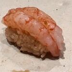 すしやのたい悟 - 北海縞海老さんでーす。