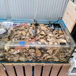 はまさき村 - 水槽（2）