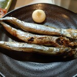 鳥椿 - シシャモ