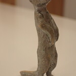 トーコーキッチン - ミーアキャット