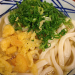 Marugame Seimen - 