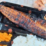 鯖の助 - 大きい鯖