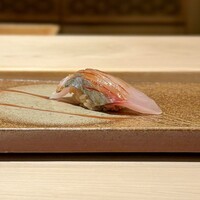 鮨 銀座 おのでら - 縞鯵