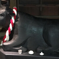 但馬屋 心斎橋 - 