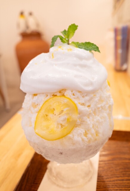 Koriya Yukiboshi photo 2