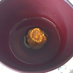 喜多屋醸造店 - 試飲用「アンモナイト柄」