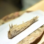 天冨來 ゆきむら - めひかり。