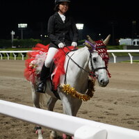 川崎名物 炭火焼肉 食道園 - 最終レースまでお仕事がんばるキョウエイアドニスさん