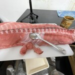 さかな大統漁 - 