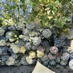 HAUTE COUTURE・CAFE - 