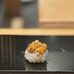 鮨と天草大王 天音 - 