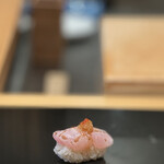 鮨と天草大王 天音 - 