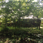 ブレストンコート ユカワタン - Jul, 2014