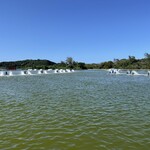 くるまえびキッチンTAMAYA - 