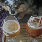 TORO - ドリンク写真: