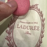 Ladurée - 料理写真:マカロン！