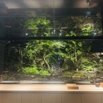 鮨shizuku 西天満 - 