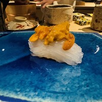 鮨shizuku 西天満 - アオリイカのウニのせ(絶品)