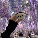 HAUTE COUTURE CAFE OMOTESANDO - 