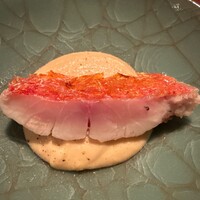 Potoro - 