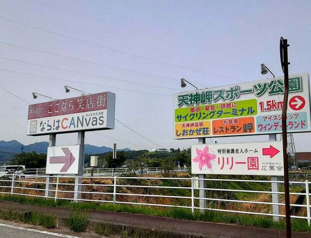 Fusion（フュージョン） - 竜田（ハンバーグ）の写真