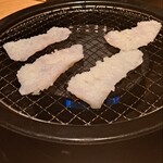 心・技・体 うるふ - 