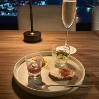 THE PENTHOUSE with weekend terrace - 