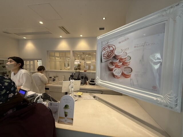 JAPANESE ICE OUCA photo 4