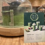 スターバックス ティバーナストア 銀座マロニエ通り店 - 