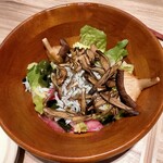 近畿大学水産研究所 大阪・関西万博 ウォータープラザ店 - ロメインレタス・赤かぶ・椎茸・ごぼう・山芋・しらす・ワカメボリューム満点のサラダ