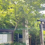 温 - 新緑が綺麗です