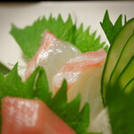 おさかな横丁 - 