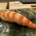 鮨桂太 - 車海老　◎