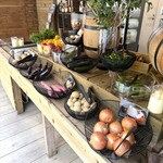 THE BASE GLAMPING YUGAWARA - 