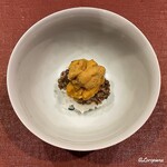 御料理 寺沢 - 飯蒸しに蛍烏賊と蛸の叩きと生海胆