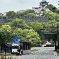 中国四川料理 桃花源 - 