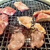 喜福世 - 
