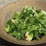 レヴォ - サクラマス