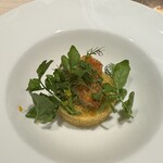 Yoichi LOOP - キヌアにキンキ