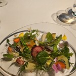 レフェルヴェソンス - 