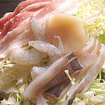 쇼쿠사이 바리바리 혼마치점 - 히로시마 오코ノ미야키