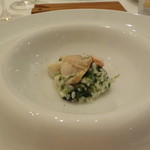 クッチーナ イタリアーナ ガッルーラ - 蛤出汁、師崎産「本ミル貝」と沖縄産アーサーのリゾット（絶品）　