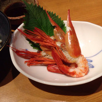 すし屋のさい藤 札幌本店 - 