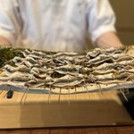 鎌倉 北じま - 日干しされた鮎を炭火焼き