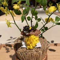 きたん 韻 - 