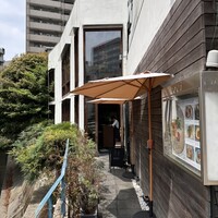 coci - 